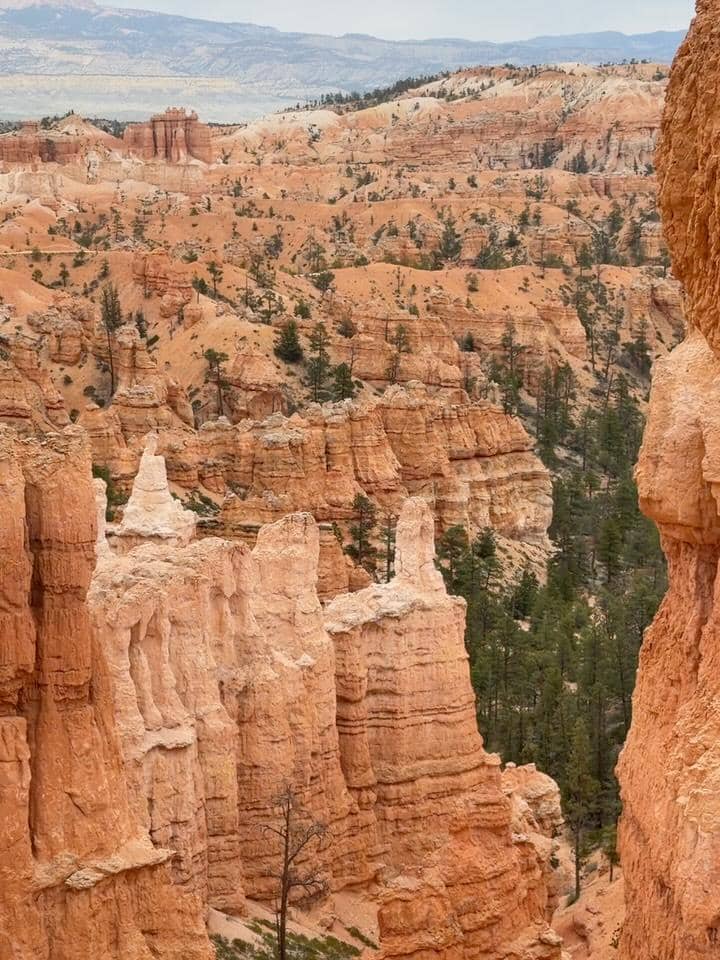 Jerome Polin mengunjungi Bryce Canyon National Park