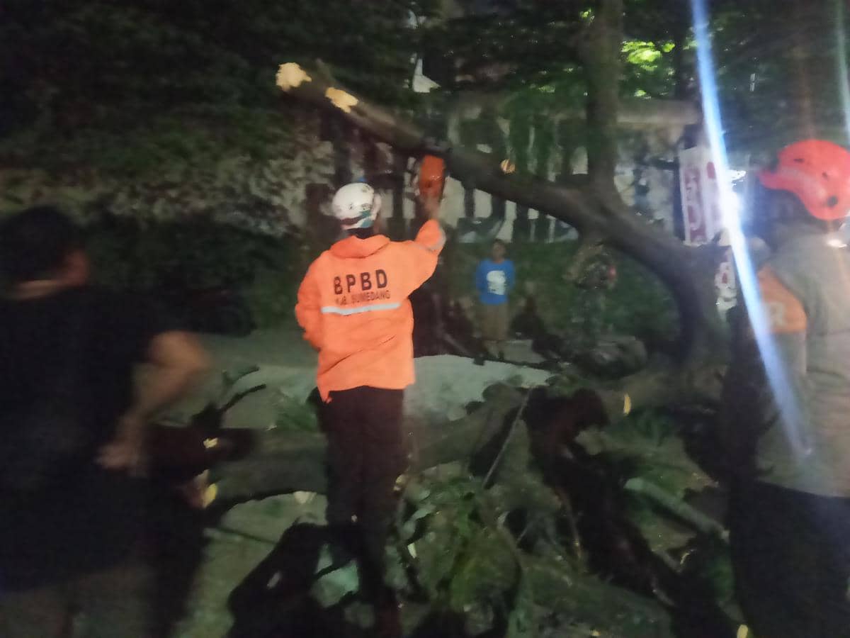 Pohon Tumbang Depan Unpad Jatinangor Timpa 5 Pengendara, Tiga Luka Berat