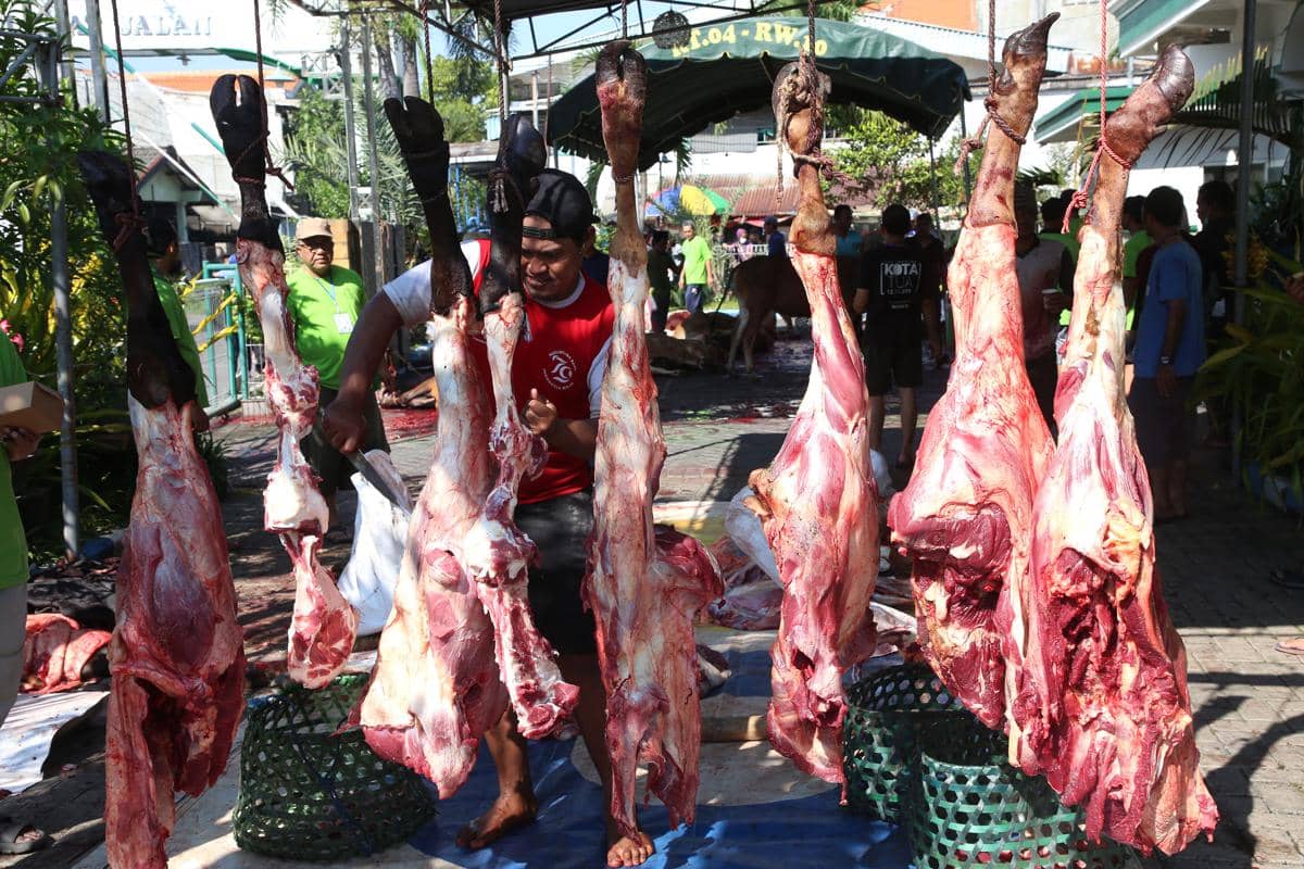 Ditemukan Cacing Pita, Pemkot Jamin Daging Kurban Surabaya Aman
