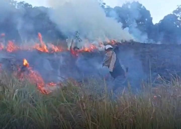 Kawasan Hutan Gunung Rinjani Terbakar, Api Belum Berhasil Dipadamkan