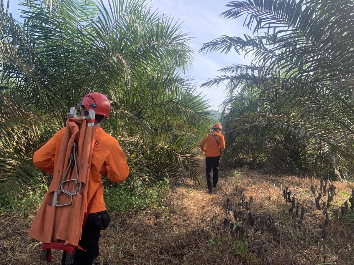 Operasi penyelamatan Thohari (80) pria lansia yang hilang di dalam hutan (Dok: Kantor SAR Palembang)