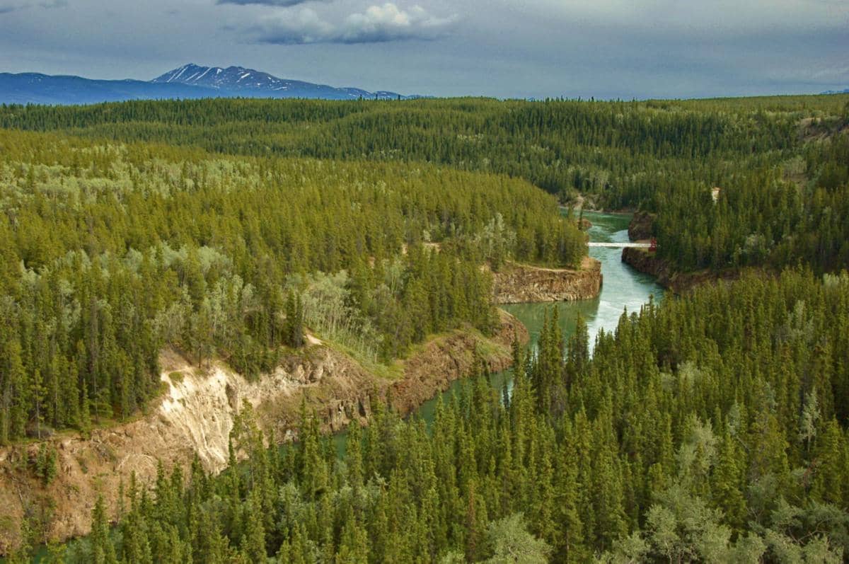 sebagian besar wilayah di sepanjang Sungai Yukon masih berupa alam liar yang minim pembangunan.
