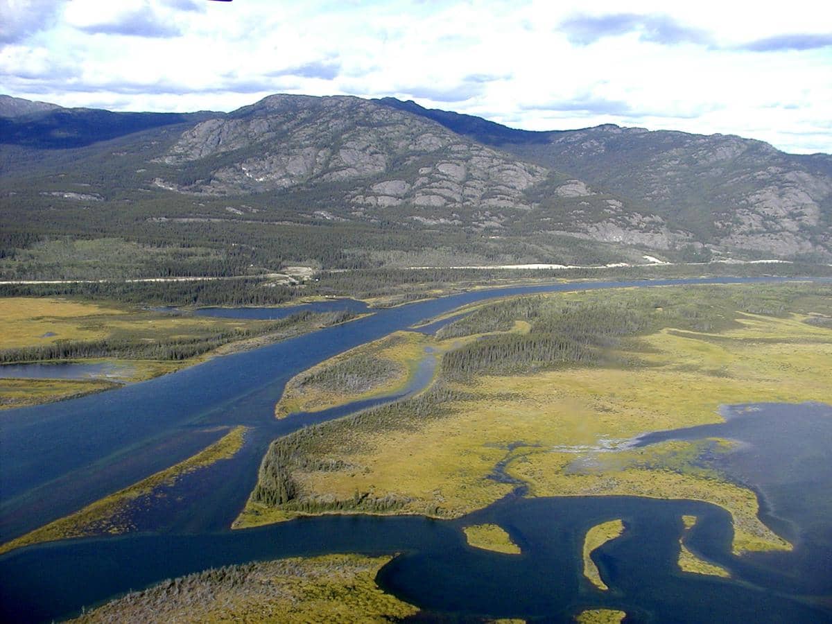 5 Fakta Sungai Yukon, dari Demam Emas hingga Migrasi Salmon Raksasa