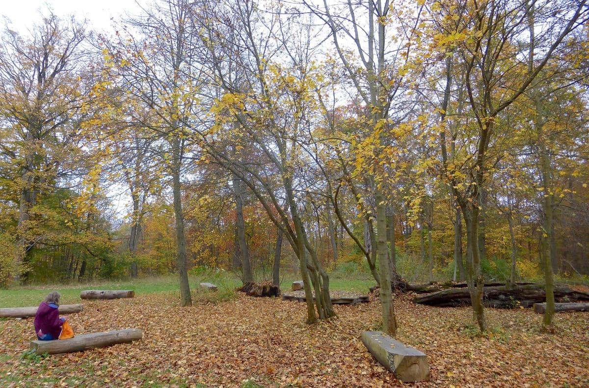 area hutan di Bukit Ettersberg