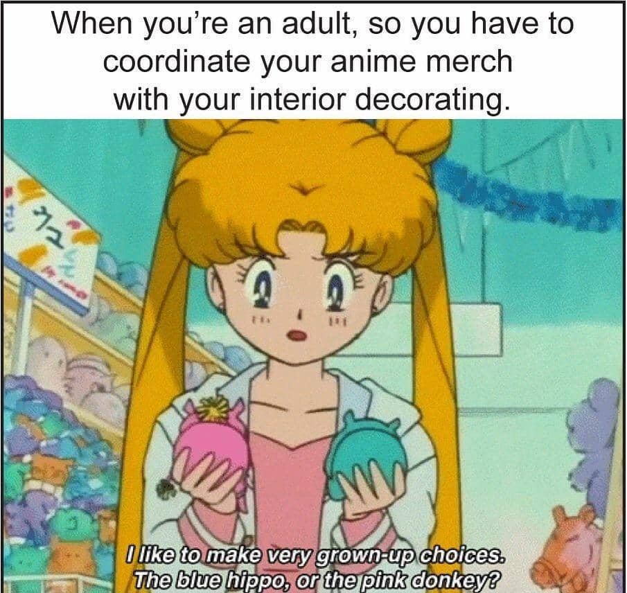 meme anime tentang lika-liku kehidupan dewasa