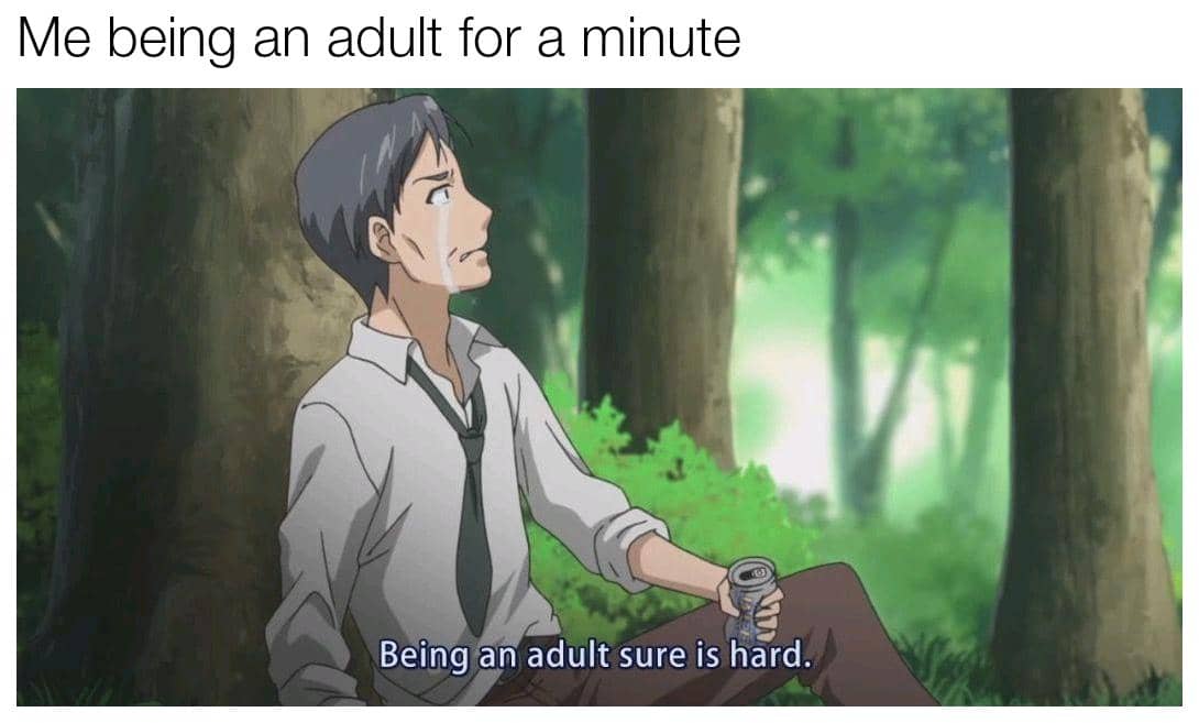 meme anime tentang lika-liku kehidupan dewasa