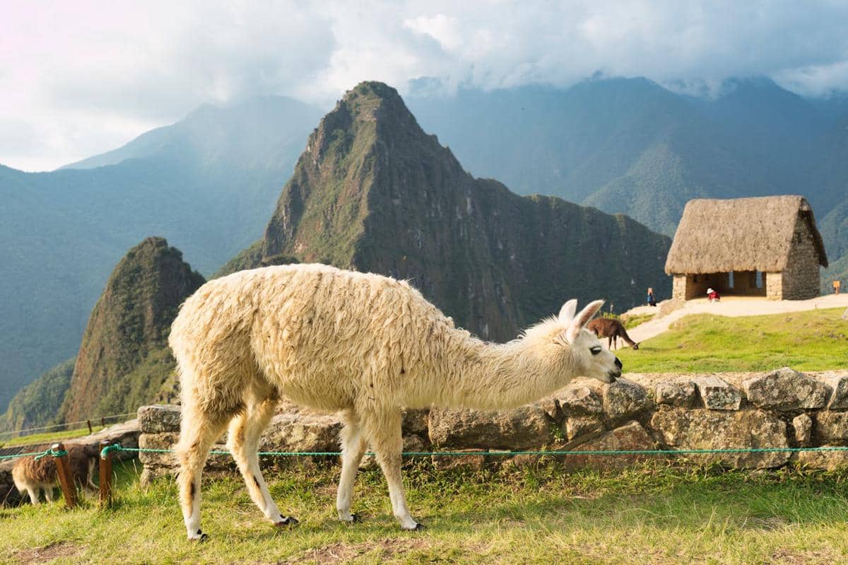 Potret keindahan Machu Picchu