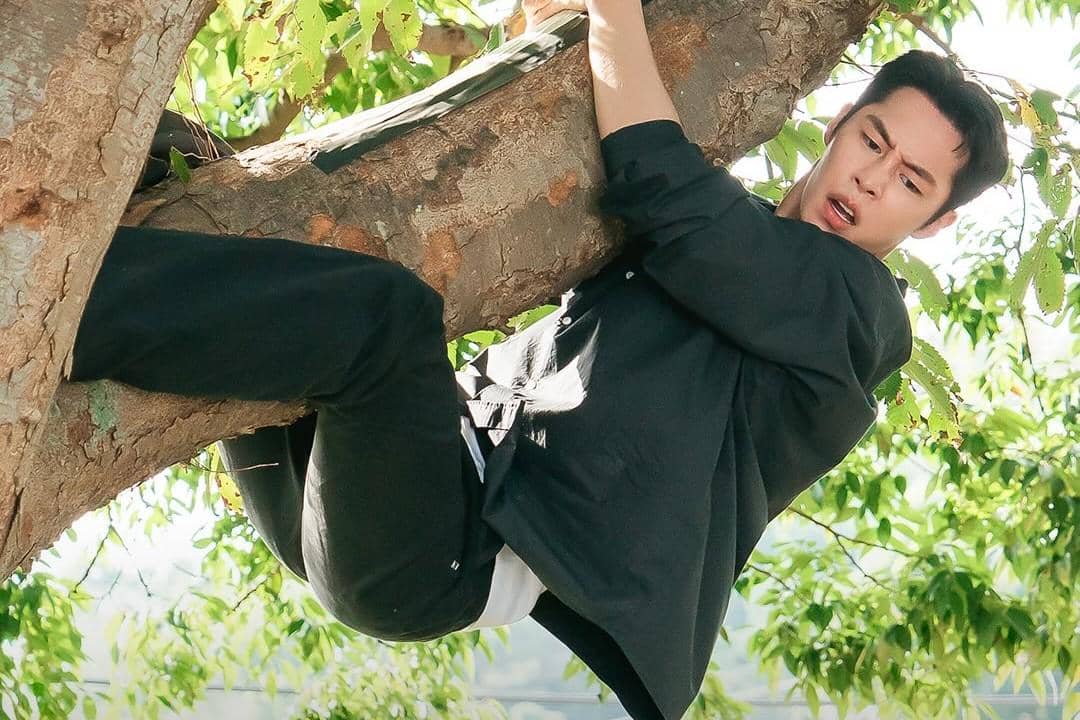 Seorang pria mengenakan kemeja hitam dan celana gelap bergelantungan di cabang pohon besar dengan ekspresi terkejut di wajahnya.
