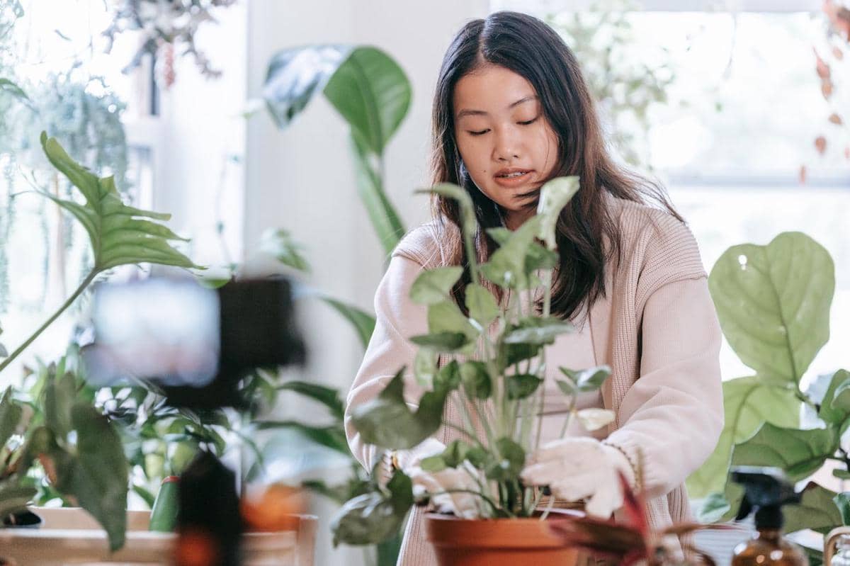 5 Starter Pack Anak Gen Z yang Mendadak Jadi Plant Parent