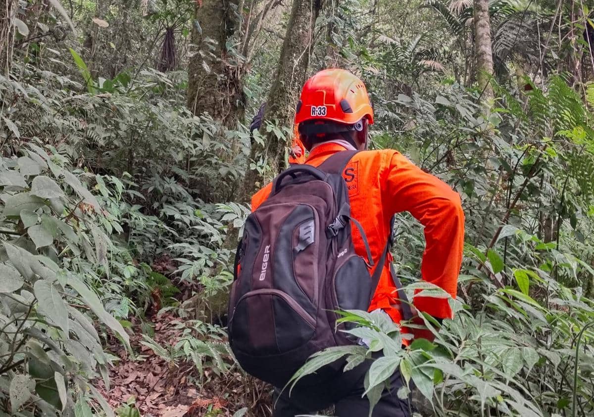 Petugas SAR mengenakan seragam oranye dan helm pelindung sedang menelusuri jalur hutan lebat di Gunung Semeru untuk evakuasi pendaki.