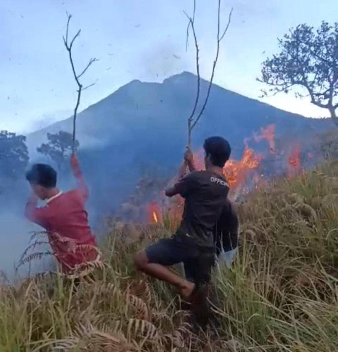 98,28 Hektare Kawasan Taman Nasional Gunung Rinjani Ludes Terbakar