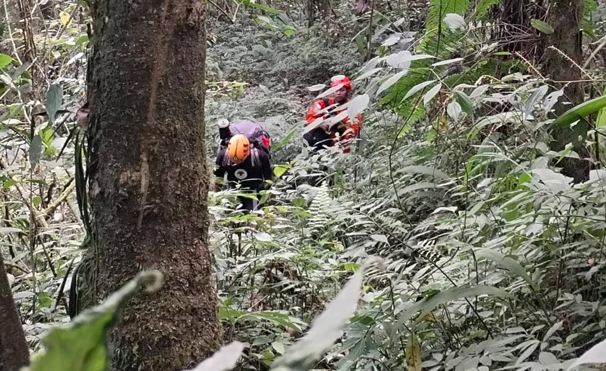 Tim penyelamat dengan helm dan perlengkapan lengkap mengevakuasi pendaki di hutan lebat kawasan Gunung Semeru.