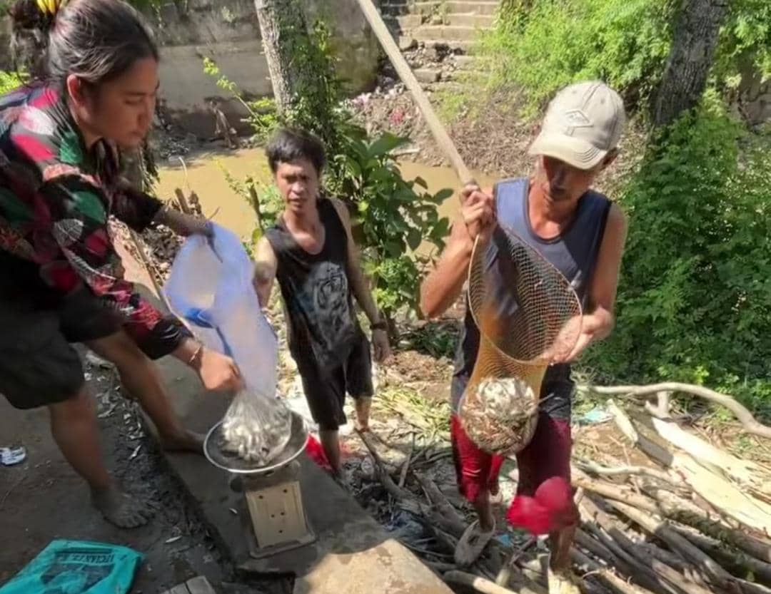 Ikan Seluang Mudik di Musi Banyuasin, Warga Panen saat Sungai Surut