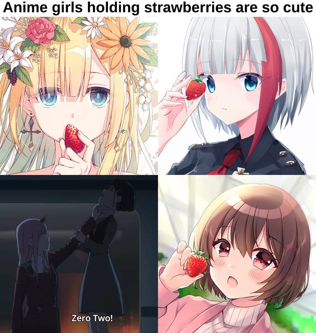 meme anime tentang stroberi