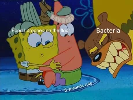 meme kartun tentang bakteri