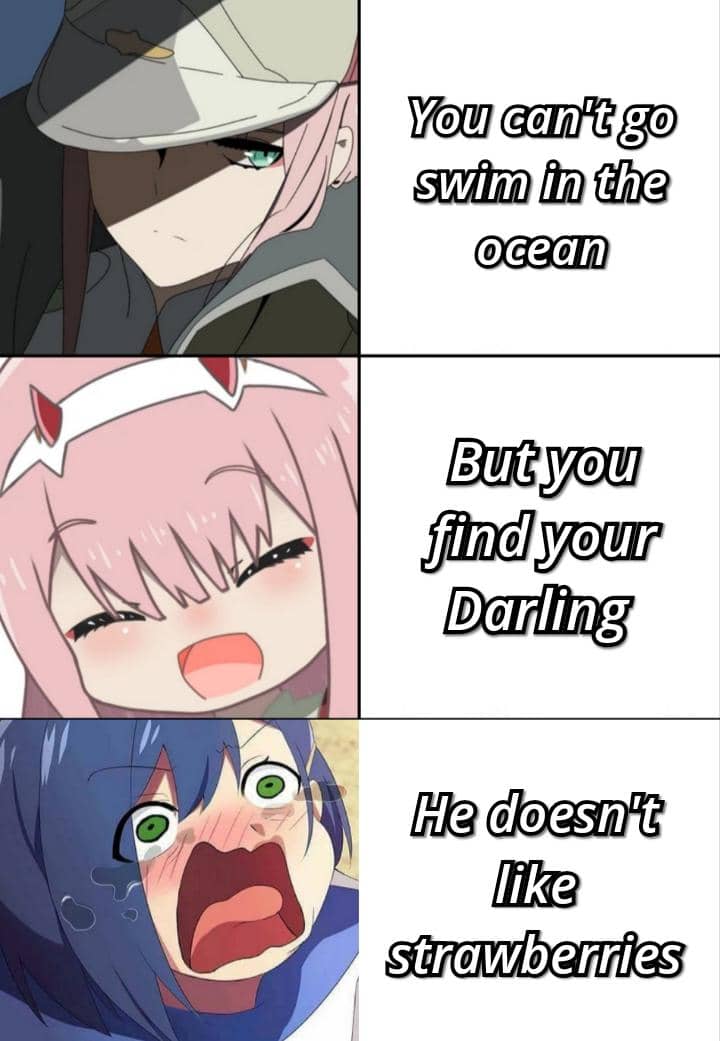 meme anime tentang stroberi