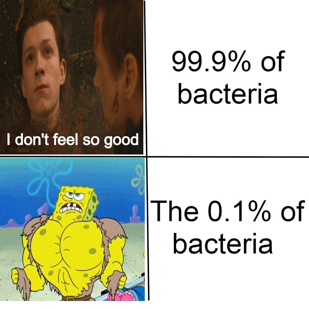 meme kartun tentang bakteri