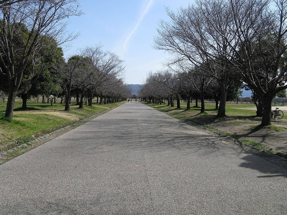 Nara 