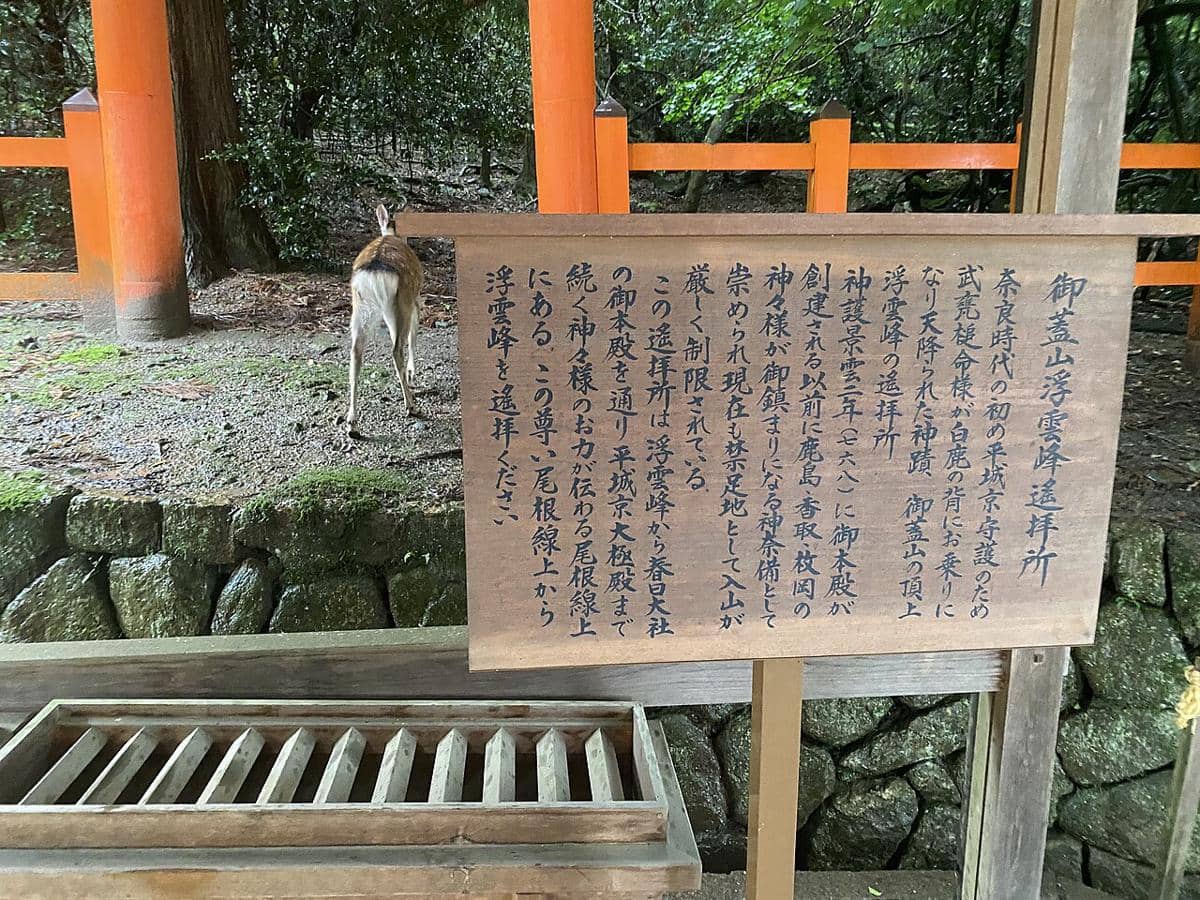 Nara 