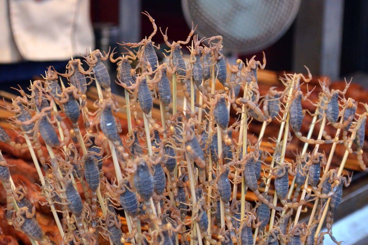 potret penjual kuliner ekstrem