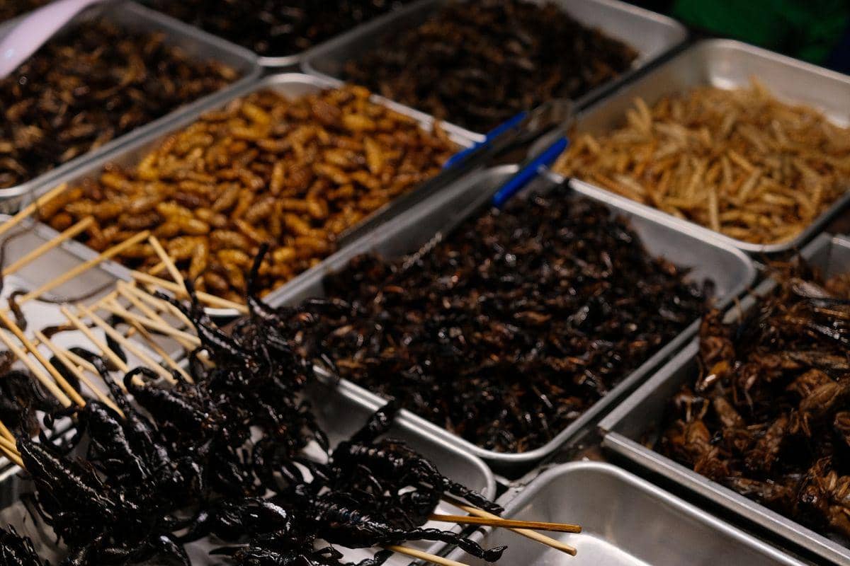 potret pilihan kuliner ekstrem