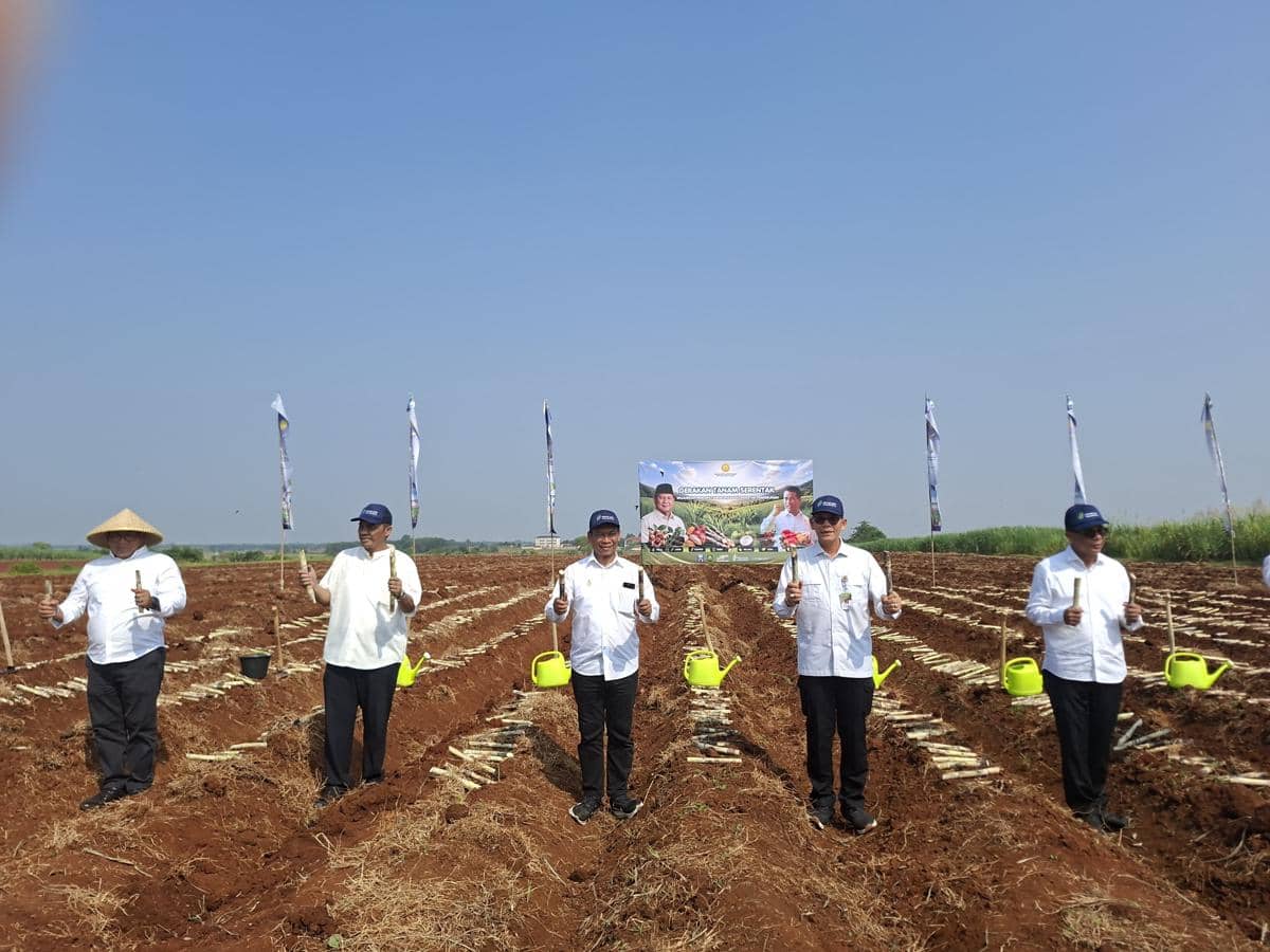 Kementan Gelar Tanam Serentak Komoditas Perkebunan di 12 Provinsi