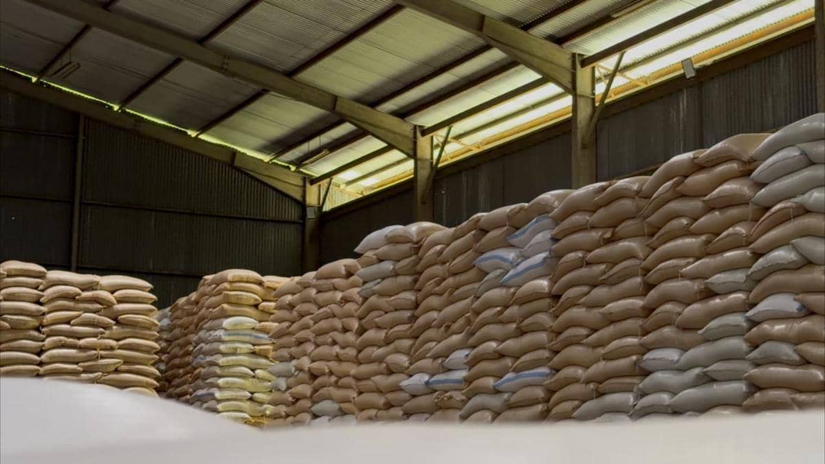 Bulog Bali Serap 9.324 Ton Gabah dari Petani