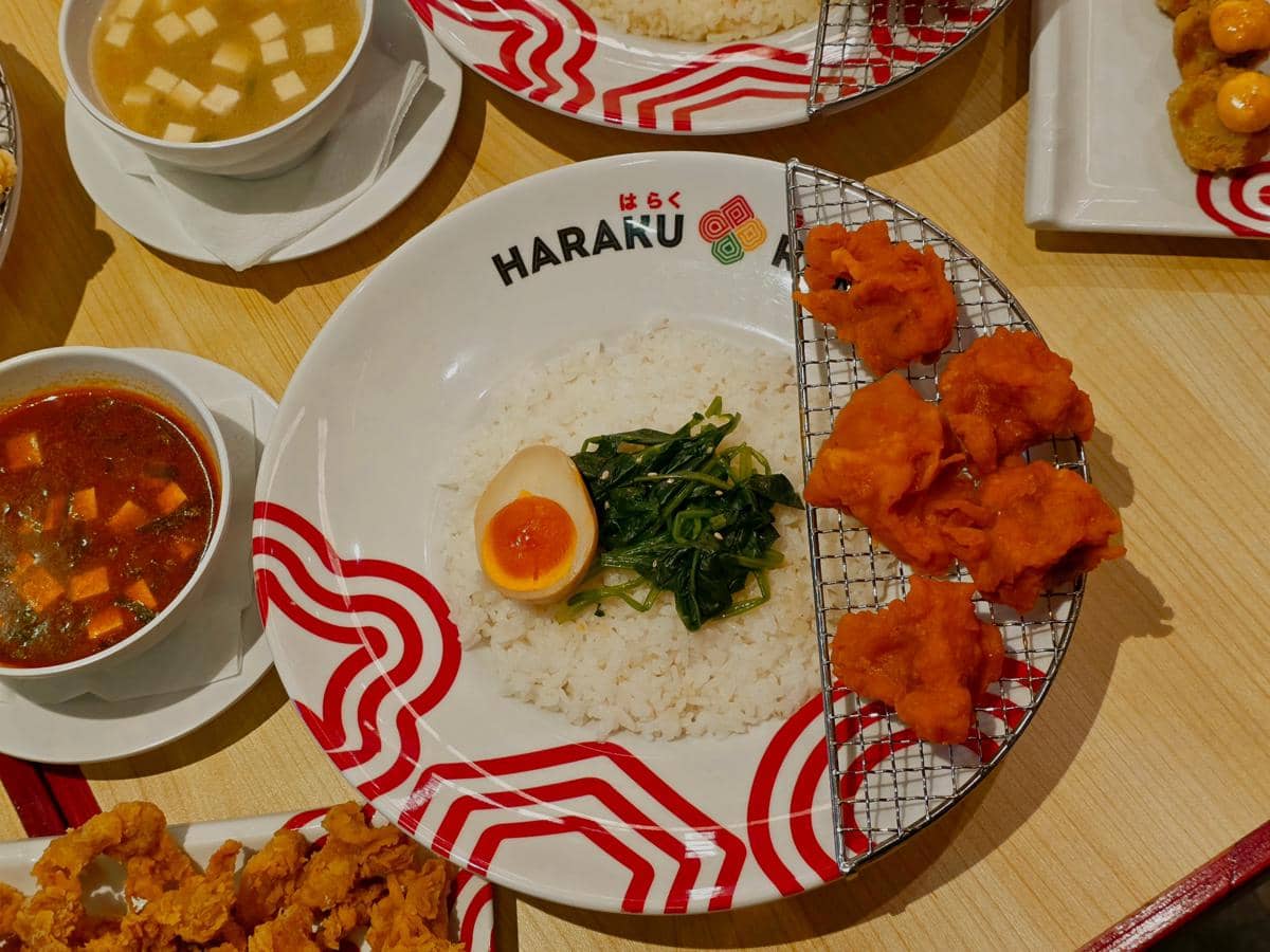 Haraku Ramen - Premium Raishi (2).jpeg