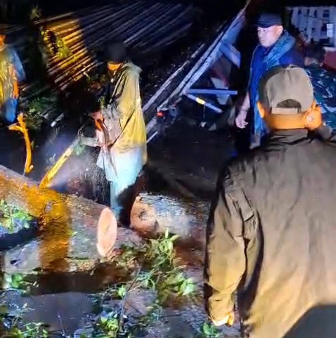 Pohon Mahoni Tumbang di Jalan Garu 2B, Timpa Motor Ojol yang Berteduh
