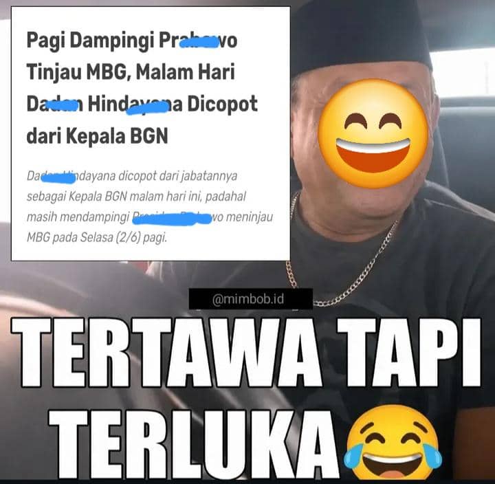 meme viral 