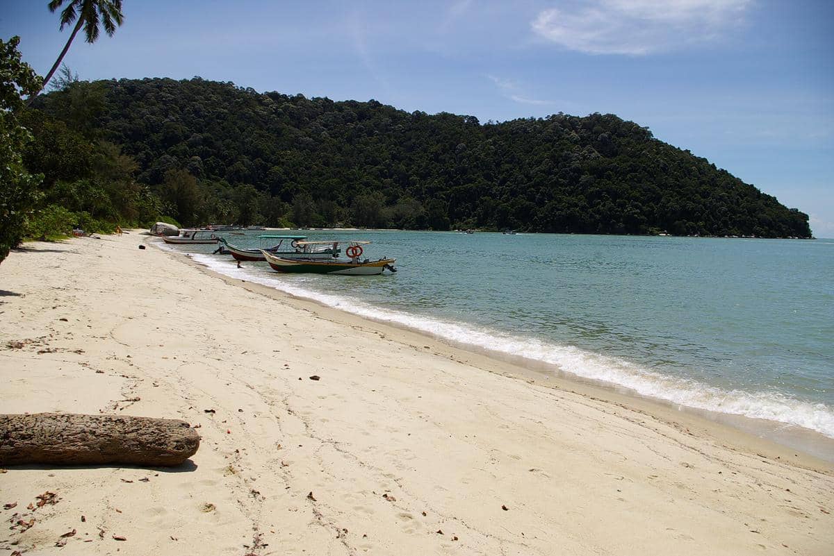 Monkey Beach 