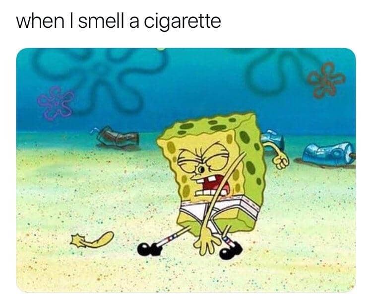 meme SpongeBob tentang aroma