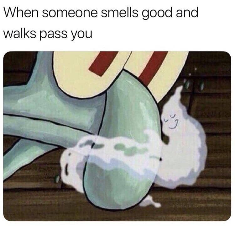 meme SpongeBob tentang aroma