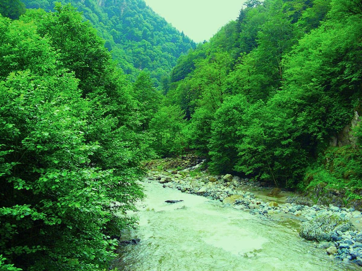 Sungai Firtina