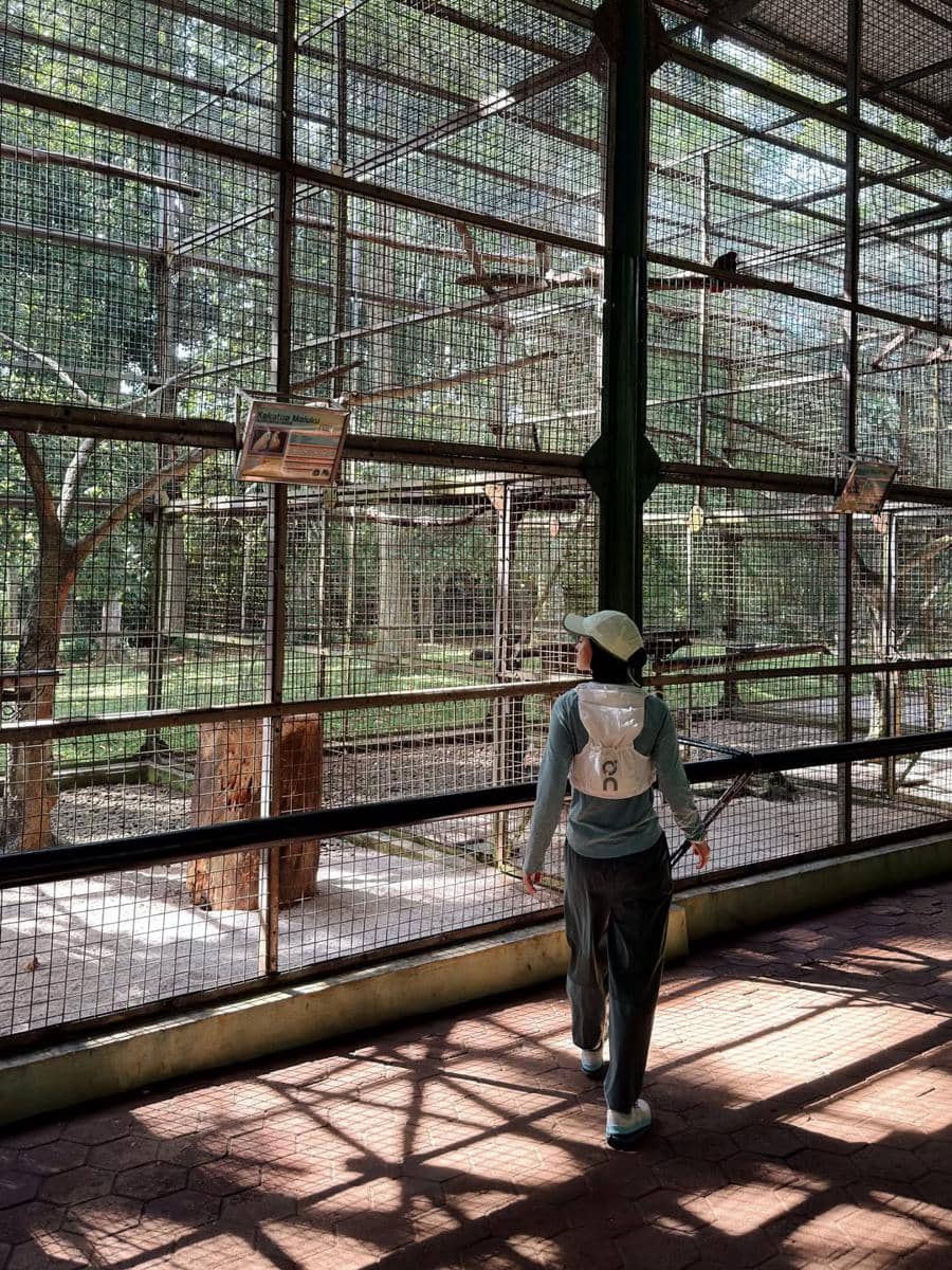 Tantri Namirah dan Haykal Kamil jogging di Ragunan