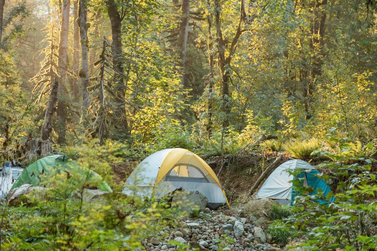 ilustrasi camping