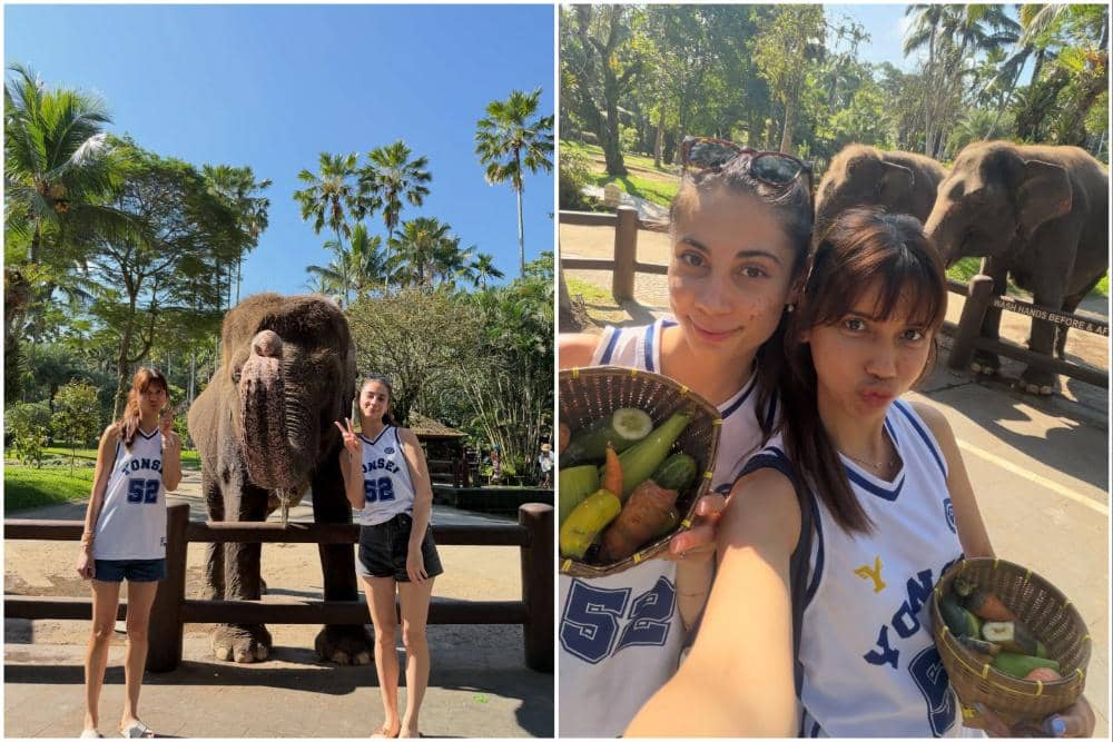 8 Potret Sabrina Chairunnisa dan Sahabat Beri Makan Gajah di Ubud