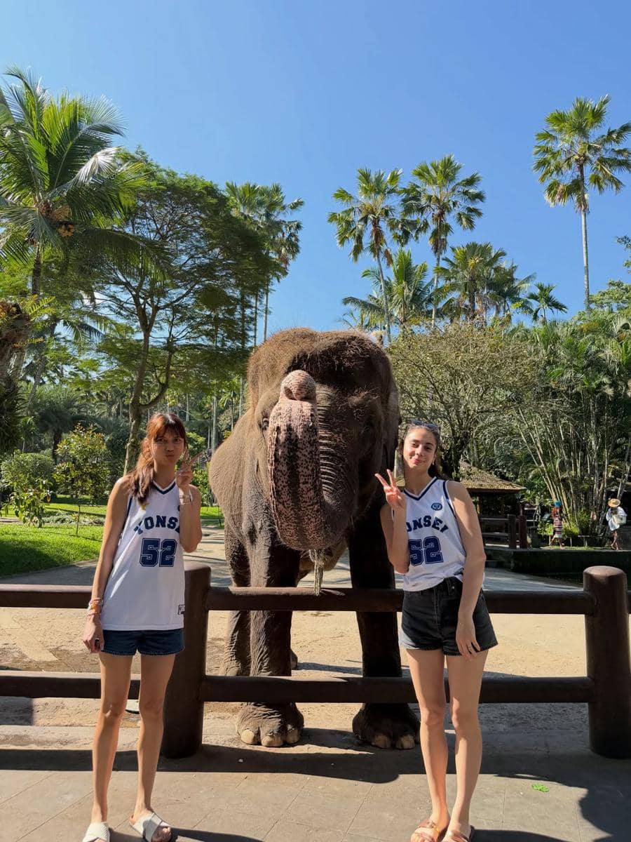 Sabrina Chairunnisa dan sahabat beri makan gajah di Ubud