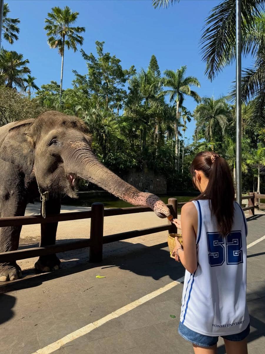 Sabrina Chairunnisa dan sahabat beri makan gajah di Ubud