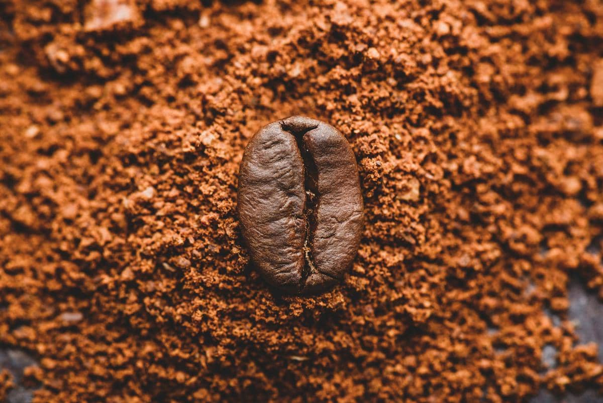 5 Tips Menyimpan Bubuk Kopi, Aromanya Tetap Tajam dan Tidak Tengik