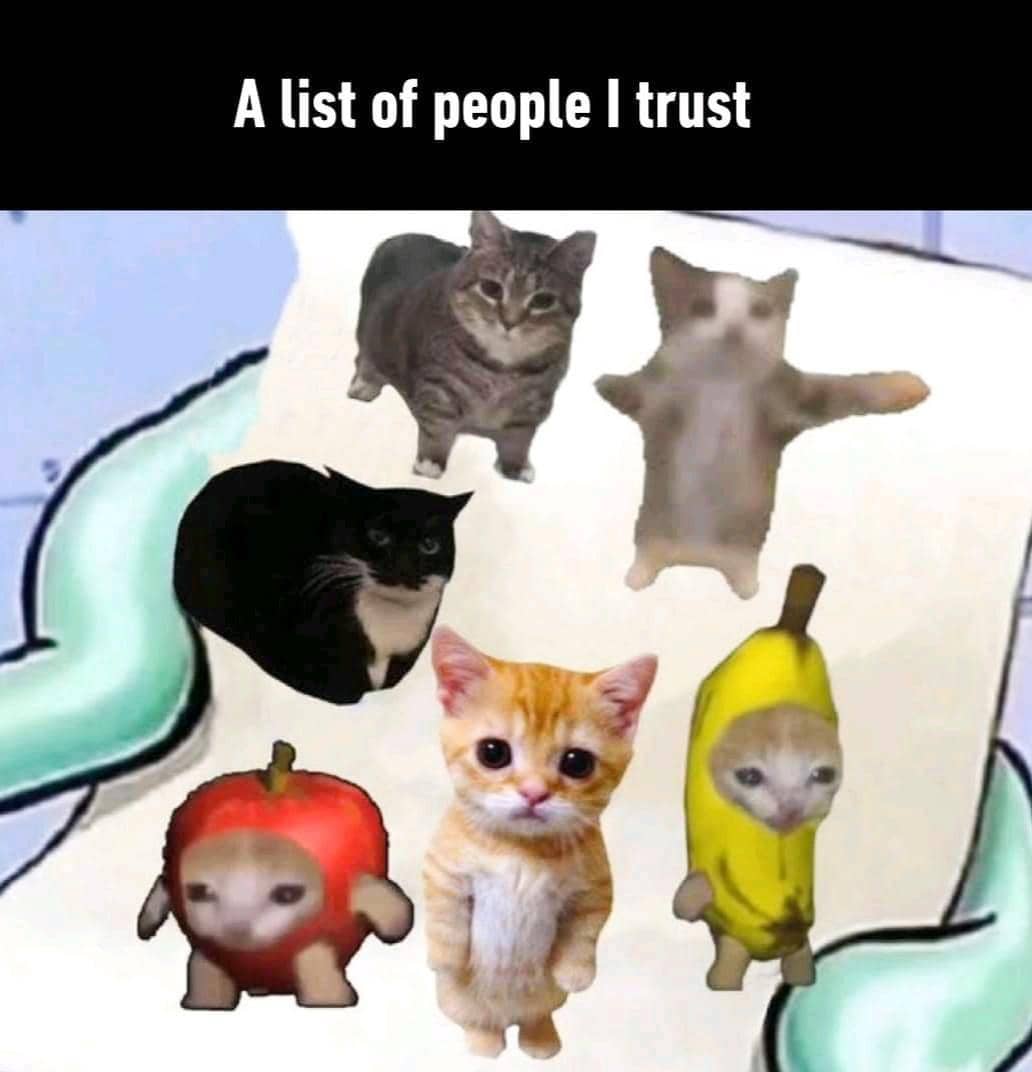 meme kucing tentang kepercayaan
