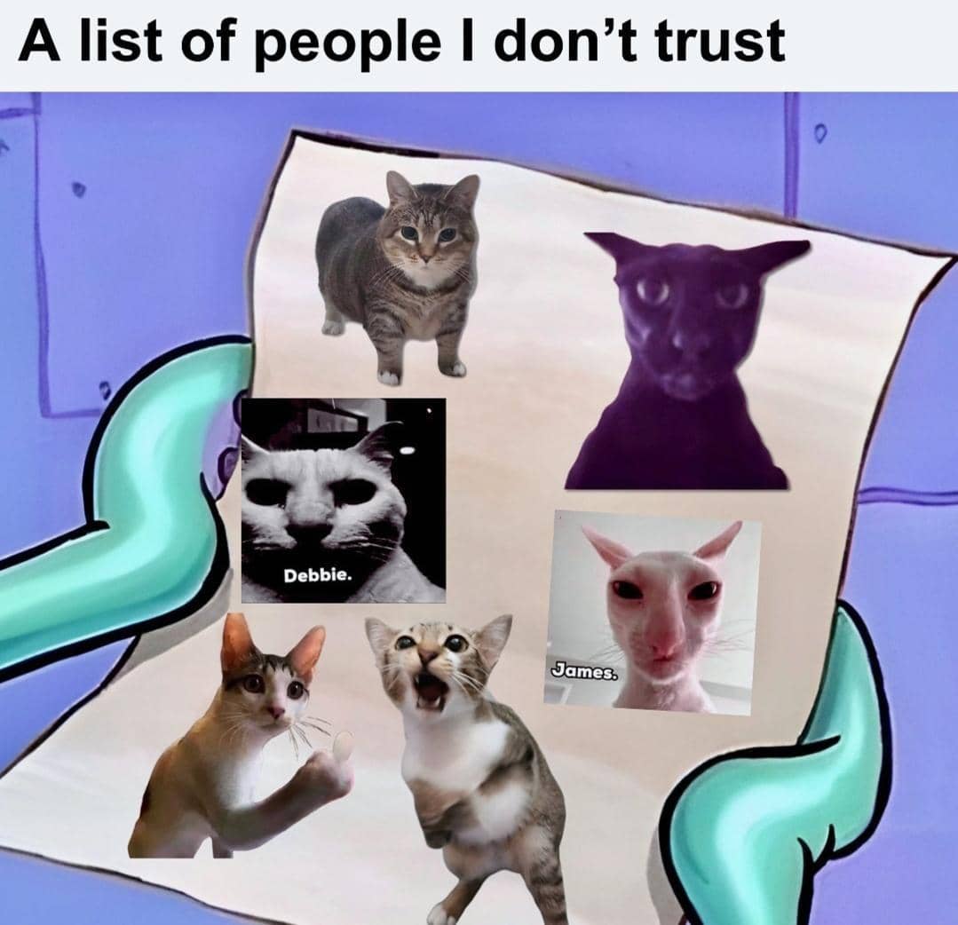 meme kucing tentang kepercayaan