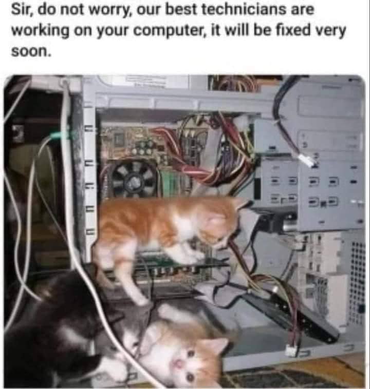 meme kucing tentang kepercayaan