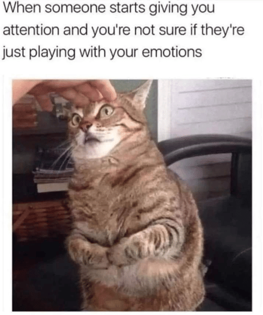 meme kucing tentang kepercayaan