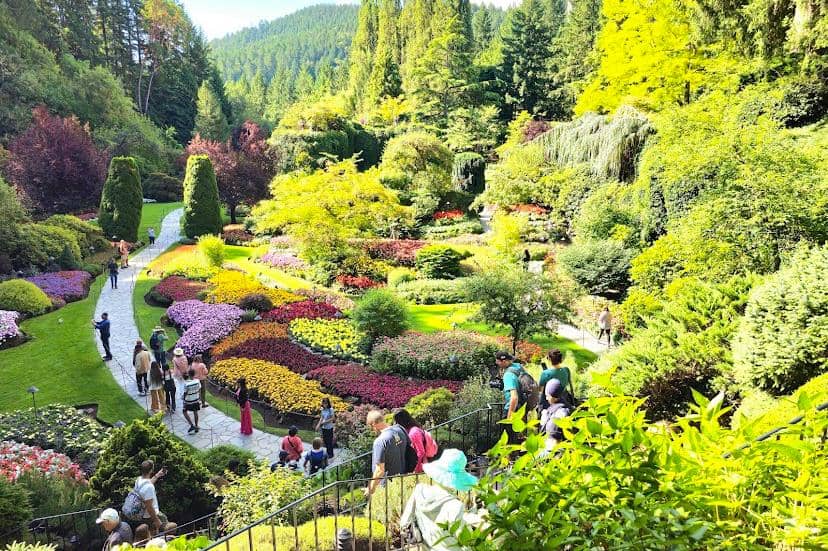 Taman Butchart di Victoria dengan hamparan bunga berwarna-warni, pepohonan hijau, dan pengunjung berjalan di jalur taman yang indah.