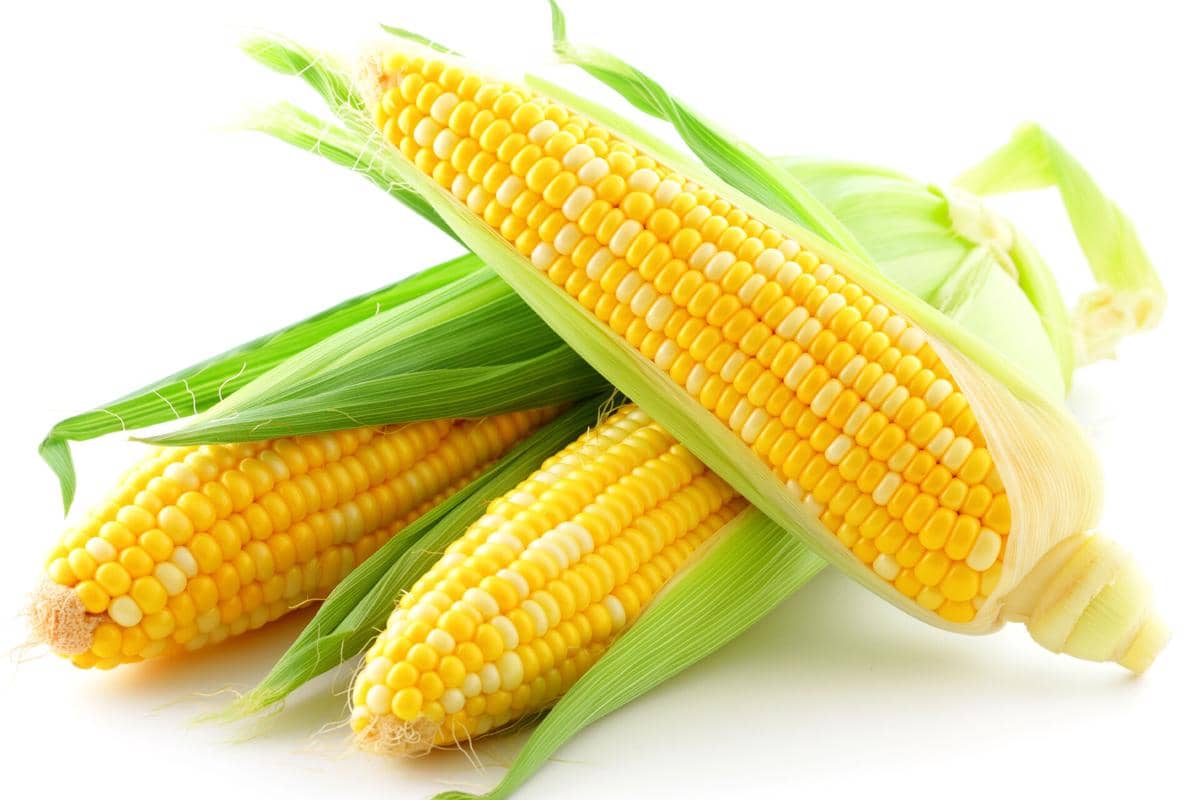 Benarkah Jagung Manis Baik untuk Kesehatan Mata? Ini Faktanya!