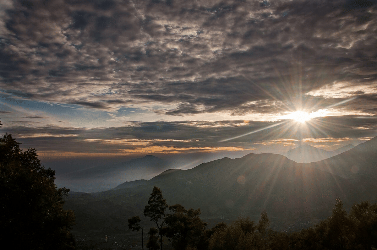 5 Gunung di Pegunungan Serayu Utara, Jadi Habitat Satwa Liar