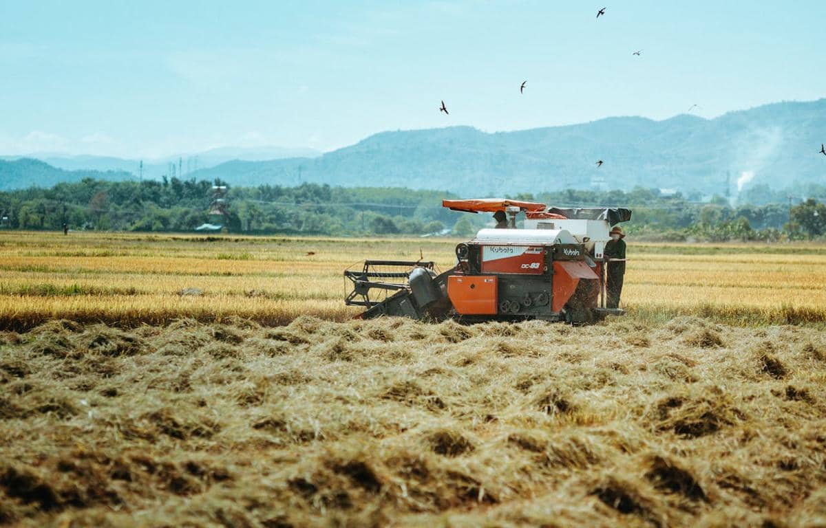 ilustrasi seorang petani mengoperasikan mesin pemanen padi di sawah