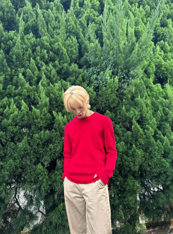 potret Mark NCT