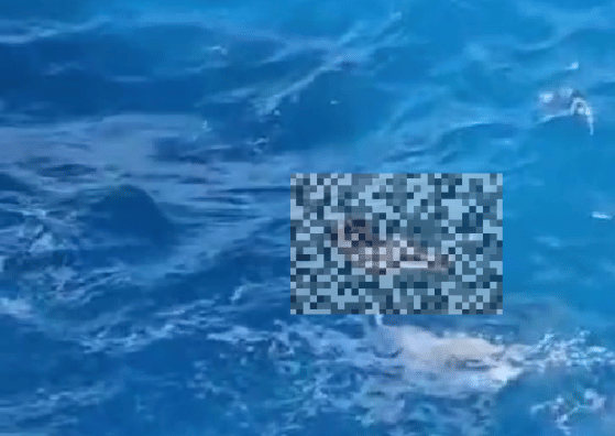 Kronologi Wisatawan Hilang usai Jatuh di Laut Apparalang Bulukumba